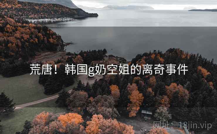 荒唐!韩国g奶空姐的离奇事件